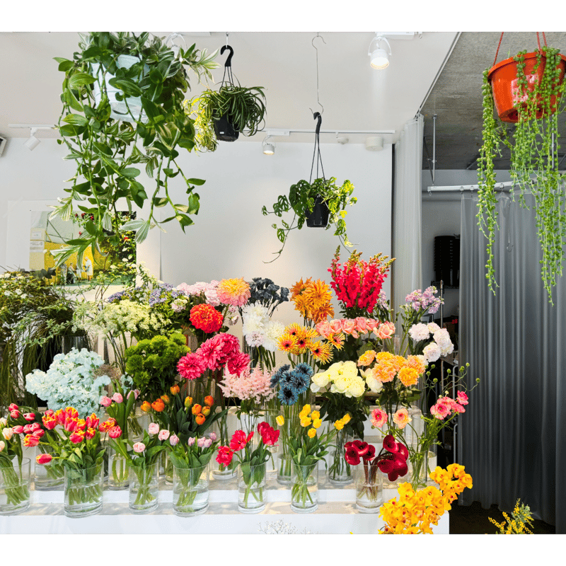 草*花様 メトロファルス ライブテープ セットなど プリザーブド苔 テラリウム ドライフラワーガラスボトル 【うさぎと