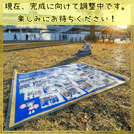横浜DeNAベイスターズ×神奈川新聞 日本一記念レジャーシート（特別号外付き）