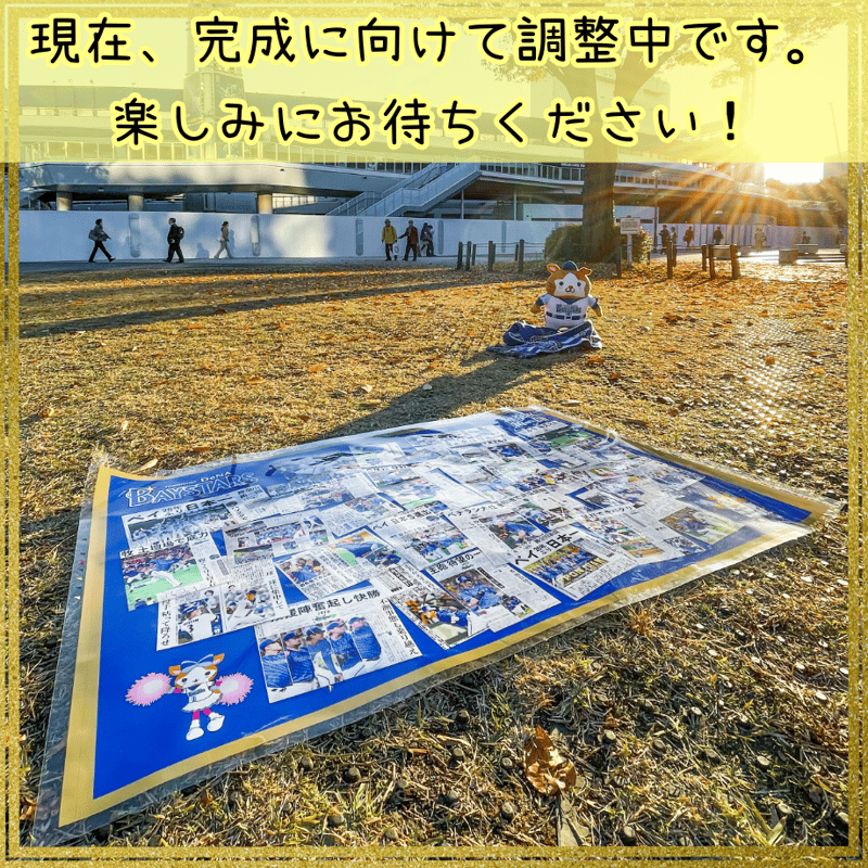 横浜DeNAベイスターズ×神奈川新聞 日本一記念レジャーシート
