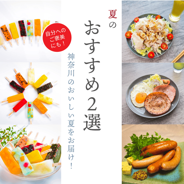 ＼夏のおすすめ２選／
