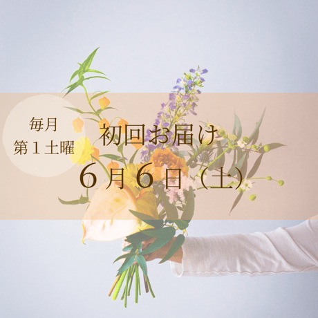 毎月届く 花の定期便・サブスク｜ベーシック（10本前後）