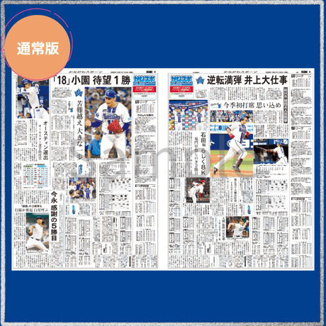 《通常版》神奈川新聞特別縮刷版「横浜DeNAベイスターズ2025」