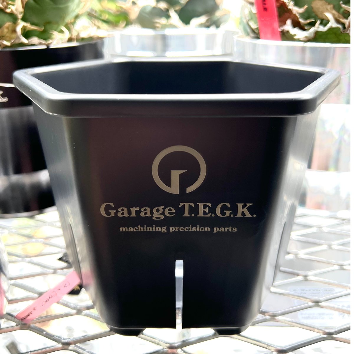 HEXA POT 22個セット Hexa Pot Japan – linkplants -リンクプランツ-