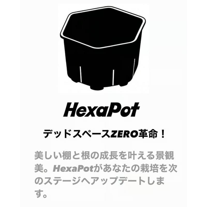 HEXA POT Black Garage T.E.G.K.ロゴ入り・ロゴ無し | Garag
