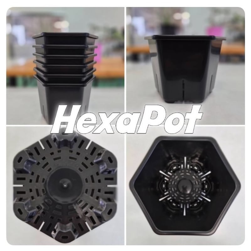HEXA POT Black Garage T.E.G.K.ロゴ入り・ロゴ無し | Garag