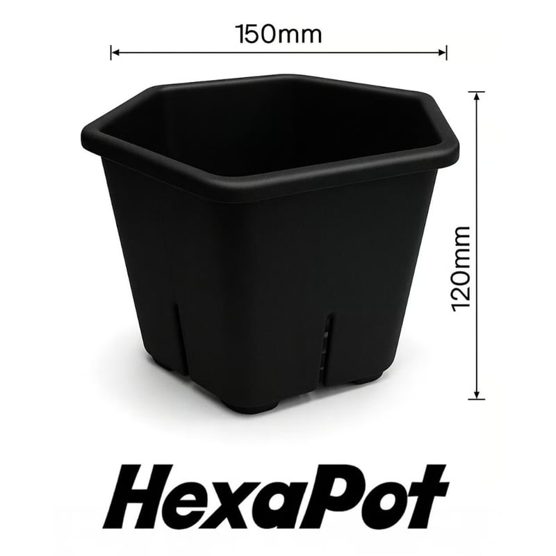 HEXA POT Black Garage T.E.G.K.ロゴ入り・ロゴ無し | Garag