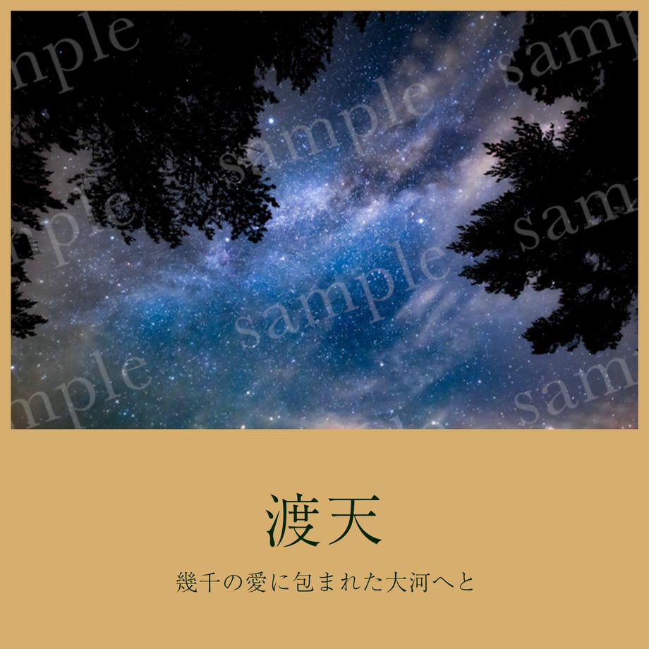 65f7cf79a07891062236a5c1