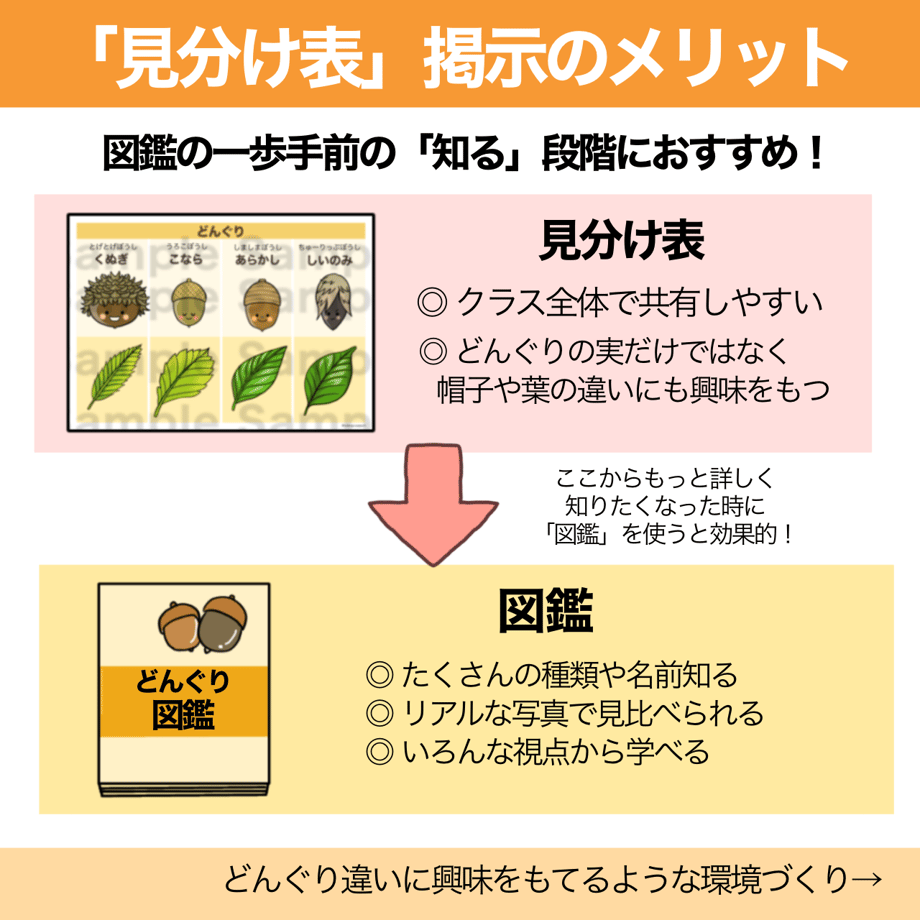 67218fc127d5b20233dbf4e9