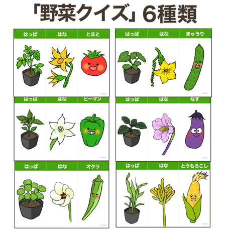 【データ】お野菜クイズ