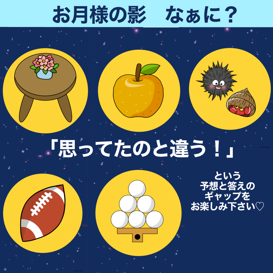 66d313ce96bb9504b54afb18