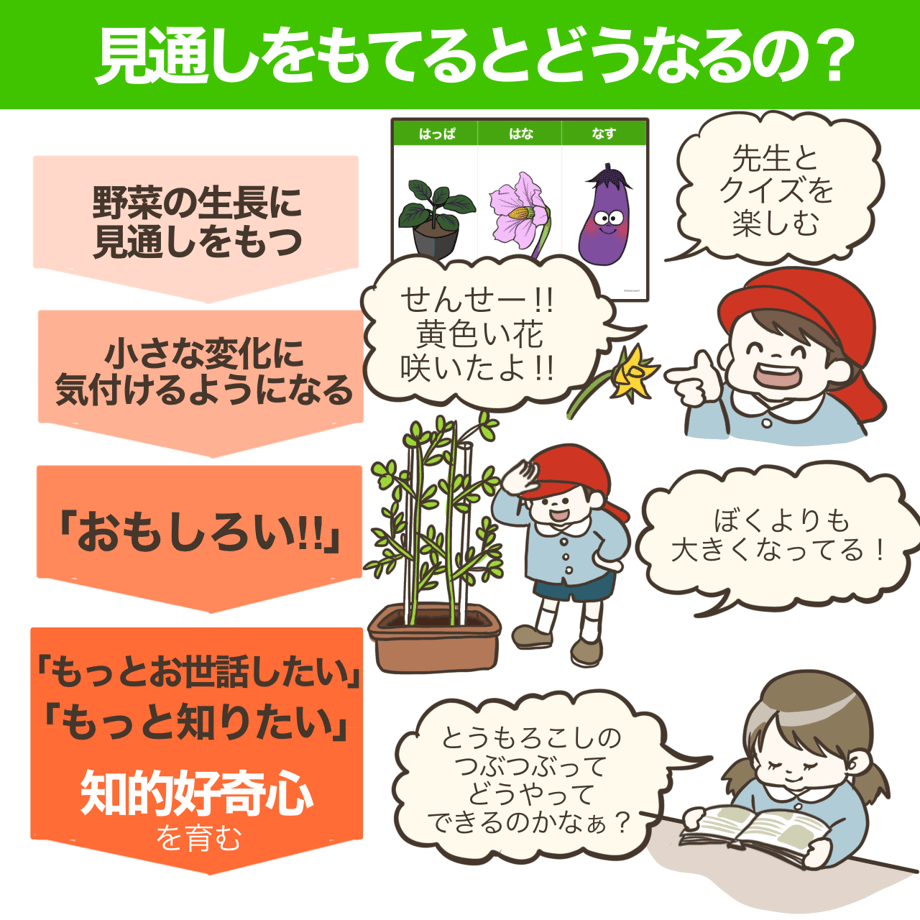 6620b7b2f848b104dbcf36e5