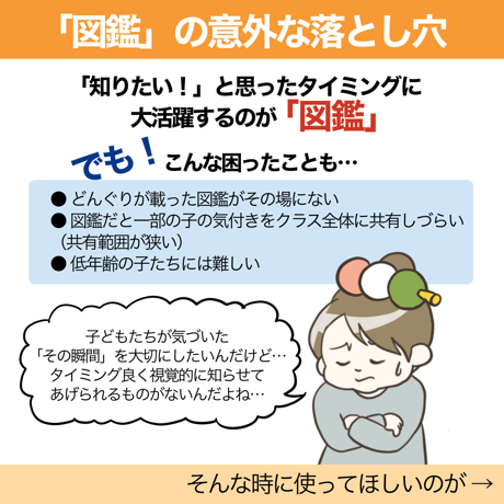 【データ】どんぐり見分け表＆イラスト表示