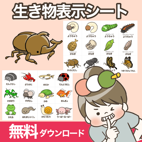 CATEGORY 飼育 | 保育教材ショップ❇︎おだんご