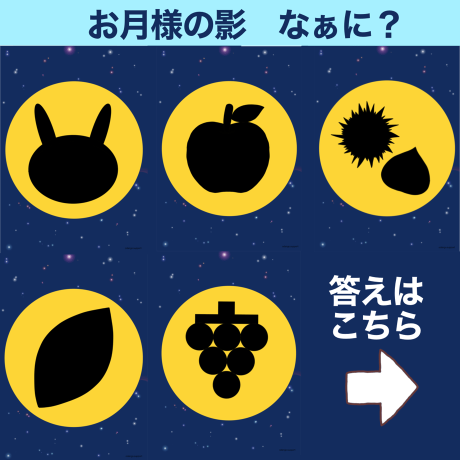 66d313ce96bb9504b54afb18