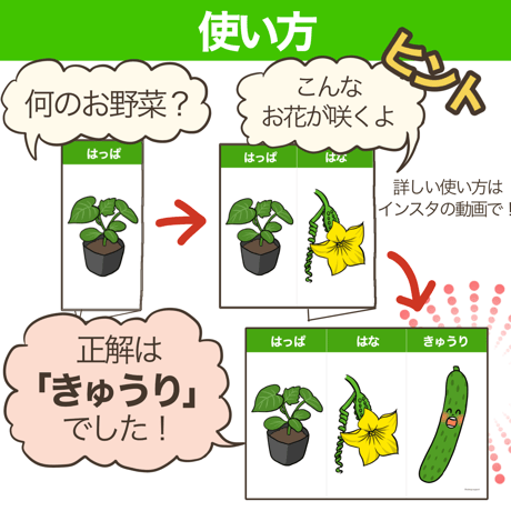 【データ】お野菜クイズ
