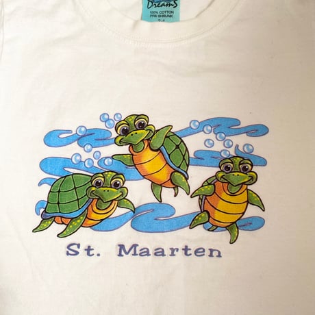 (90-95)ST. MAARTEN T