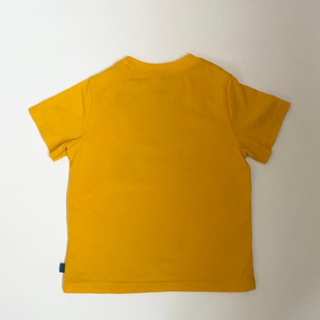 (100)PACKERS T