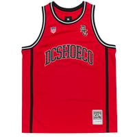 HOOPS JERSEY