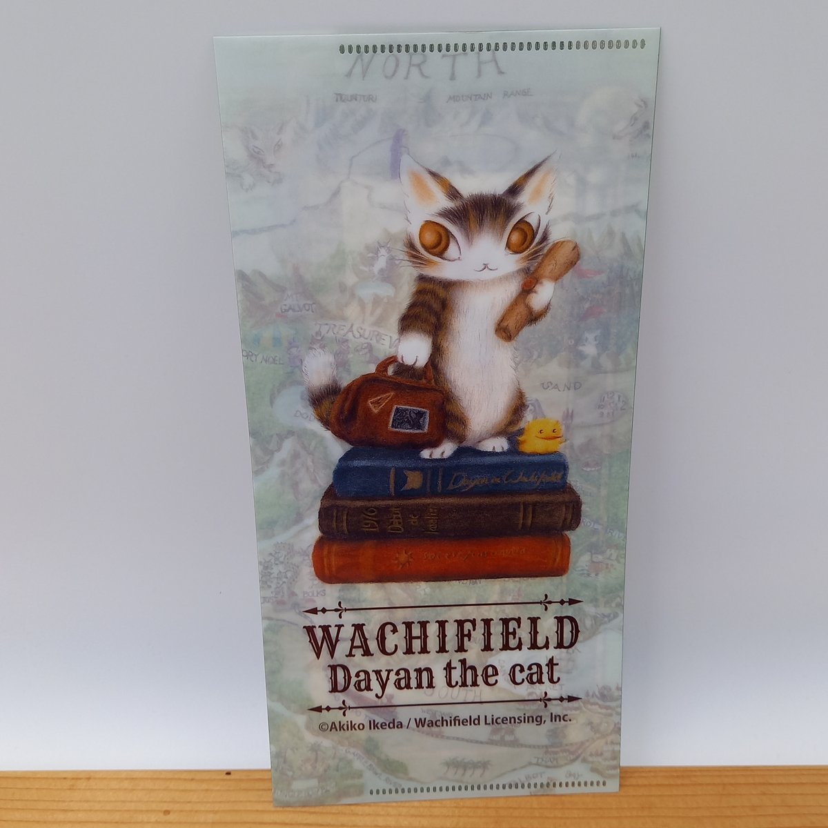 ダヤン チケットケース 2P 旅する・オアハカ | 秀和美術本店 わちふぃ