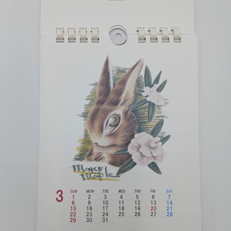 brightwin 写真集、雑誌、ポストカード、2021カレンダー brightwin 写真集、雑誌、ポストカード、2021カレンダー - メルカリ