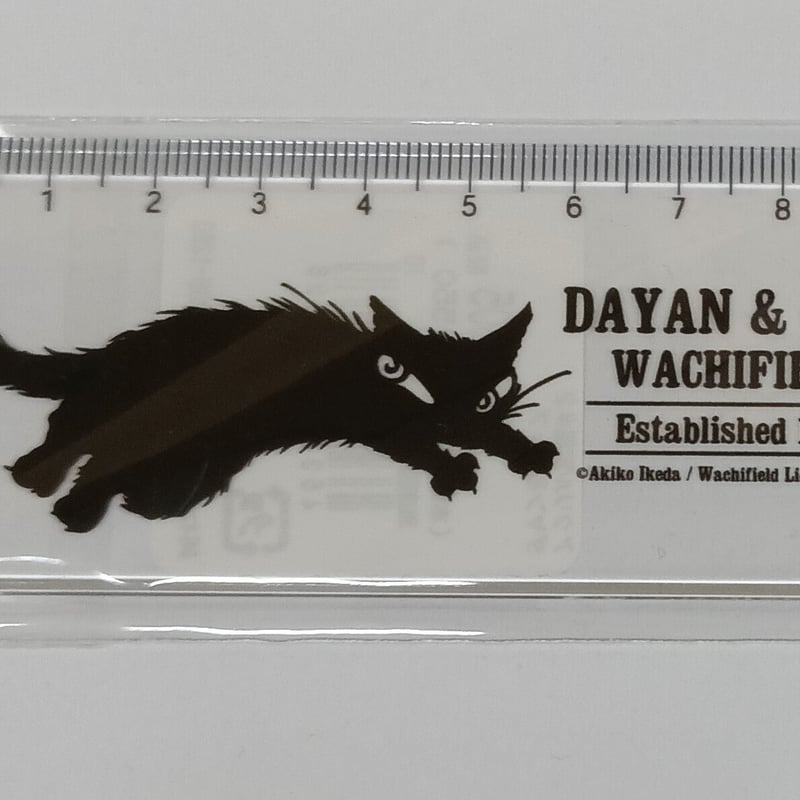 ダヤン アクリル 定規 ダヤン＆チップ | 秀和美術本店 わちふぃーるど