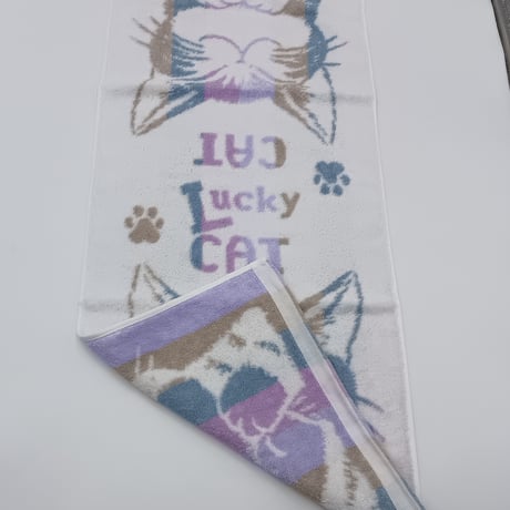 ダヤン　縞立て　フェイスタオル　うんのいいねこ　青系