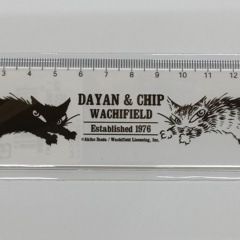 ダヤン アクリル 定規 ダヤン＆チップ | 秀和美術本店 わちふぃーるど