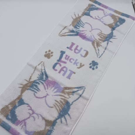 ダヤン　縞立て　フェイスタオル　うんのいいねこ　青系
