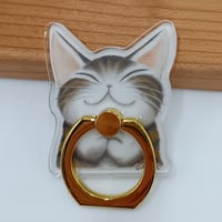 ダヤン トレジャーボックス ボックス 置物 森のささやき | 秀和美術