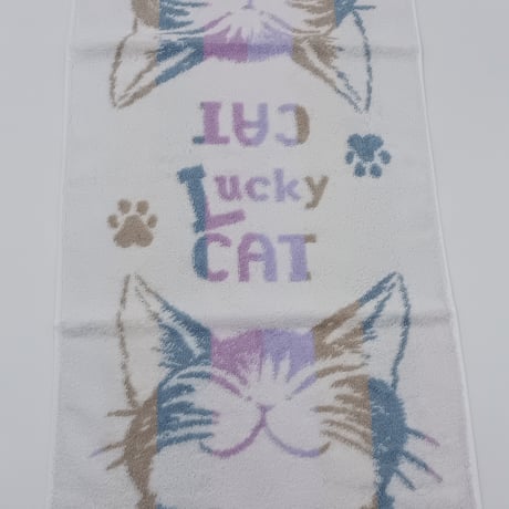 ダヤン　縞立て　フェイスタオル　うんのいいねこ　青系