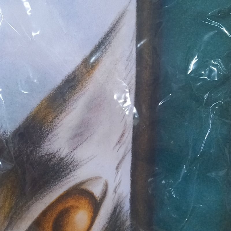 ダヤン アート のれん 旅に出る用意 | 秀和美術本店 わちふぃーるど 取扱店