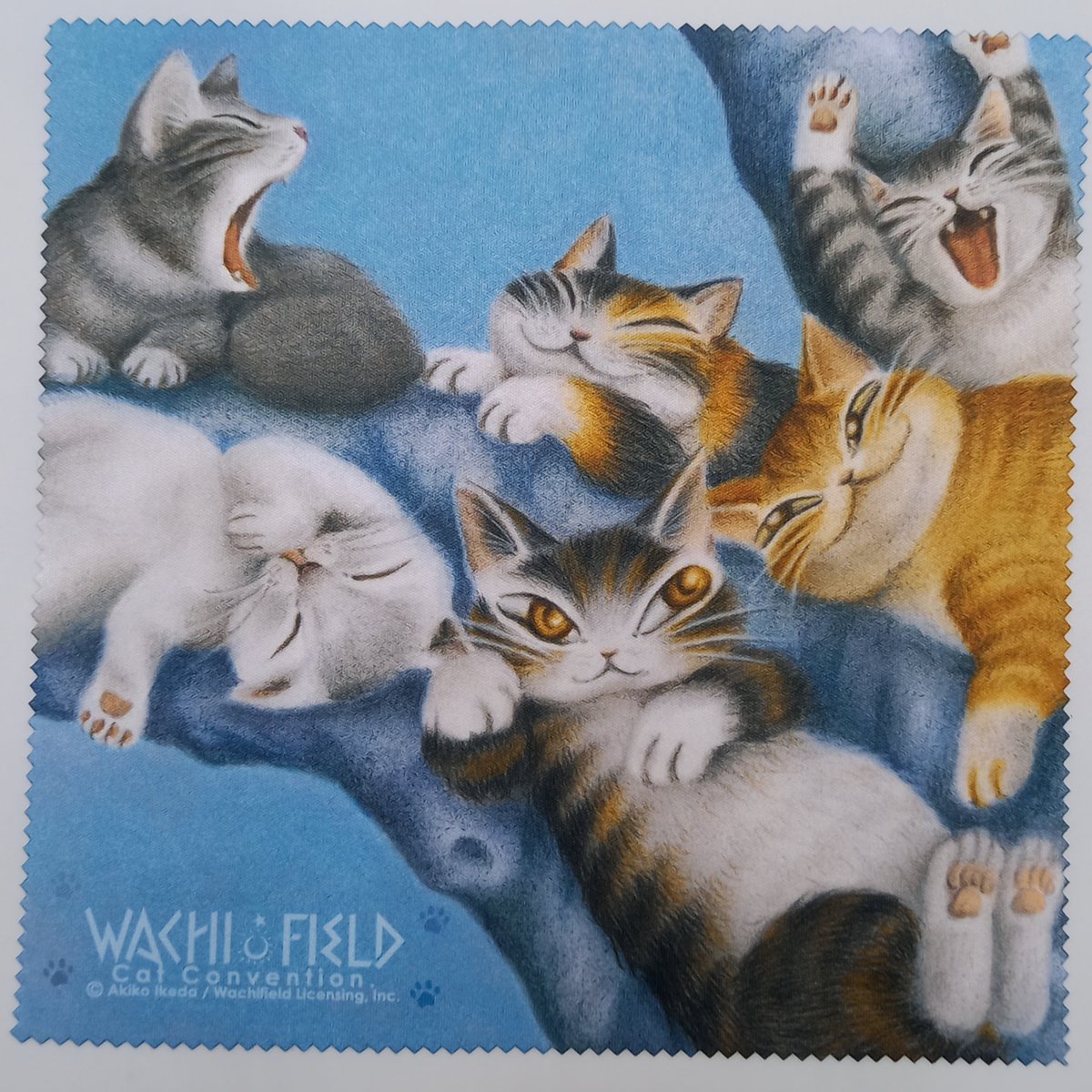 ダヤン メガネ拭き 猫の島のなまけものの木 | 秀和美術本店 わち