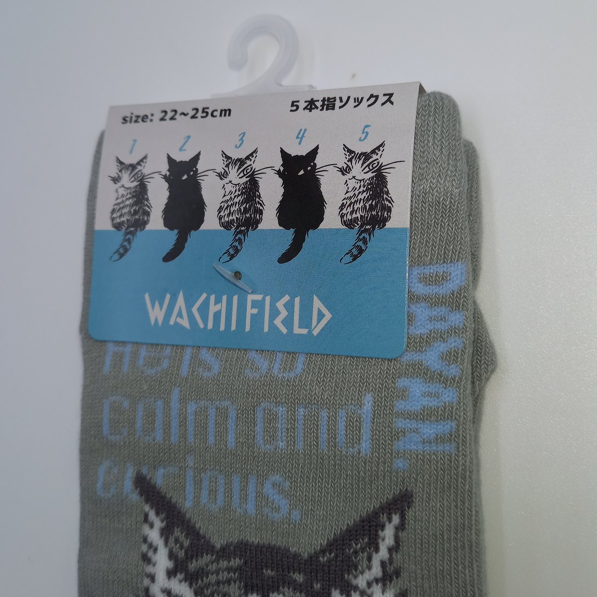 ダヤン 5本指 ソックス ほおづえ | 秀和美術本店 わちふぃーるど 取扱店