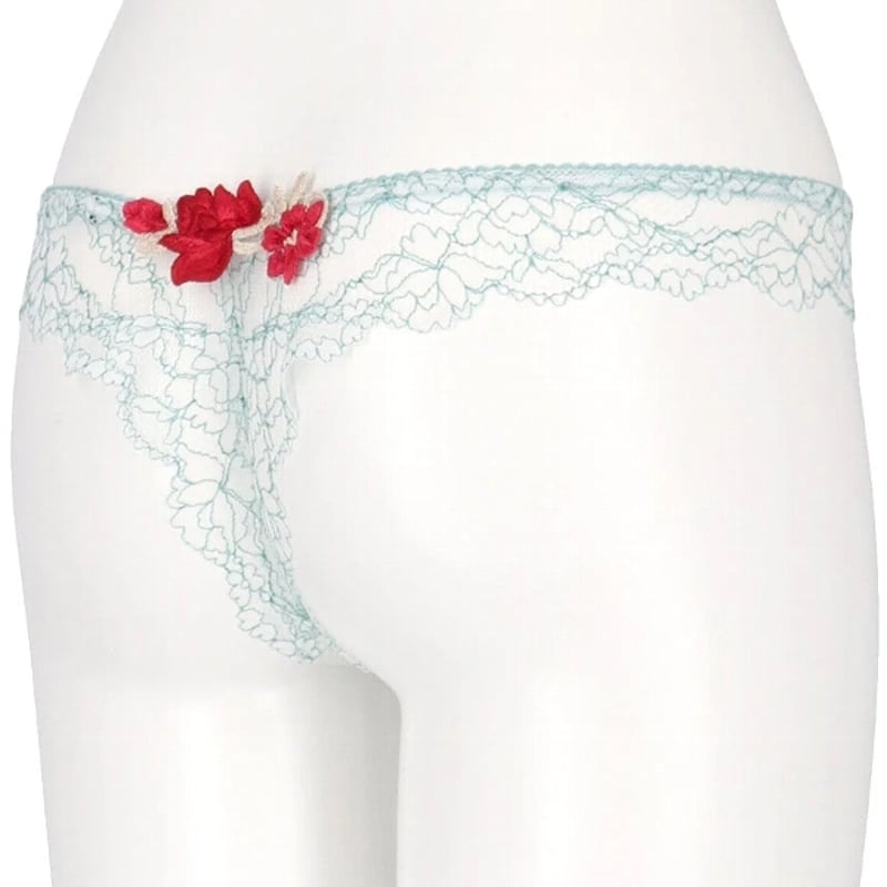 Wacoal Salute ワコール サルート PTJ416 * 16グループ ソング(Tバッ