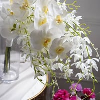 ラナンキュラスとミモザのナチュラルブーケ | Bride Meets Bouquet