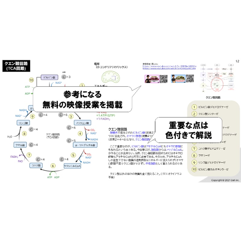 テキスト＋問題集】 生化学 2章 | 医学部学士編入塾Cell