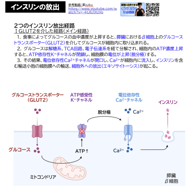 秋田大学】 2020年度入試 解答解説 医学部学士編入 | 医学部学士編入塾Cell