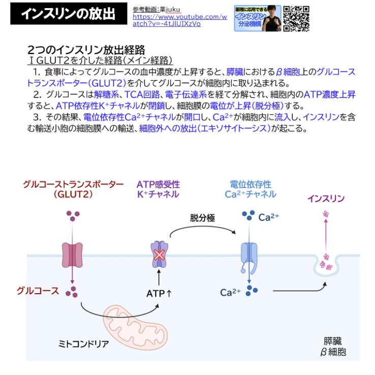 秋田大学】 2020年度入試 解答解説 医学部学士編入 | 医学部学士編入塾Cell