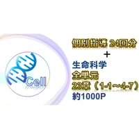 高知大学】 2026年度入試 解答解説 医学部学士編入 | 医学部学士編入塾Cell
