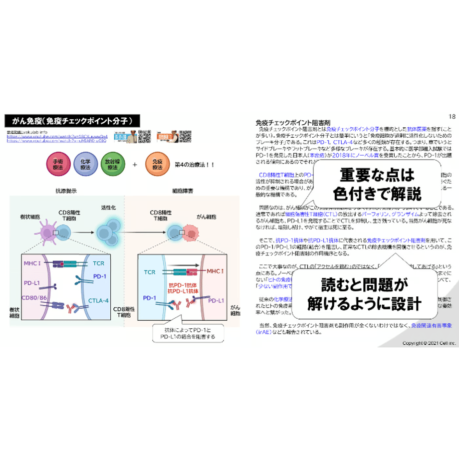 66079d17d3c2c9175126182c