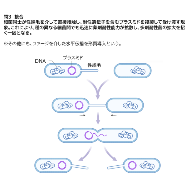 金沢大学】 2026年度入試 解答解説 医学部学士編入 | 医学部学士編入塾Cell
