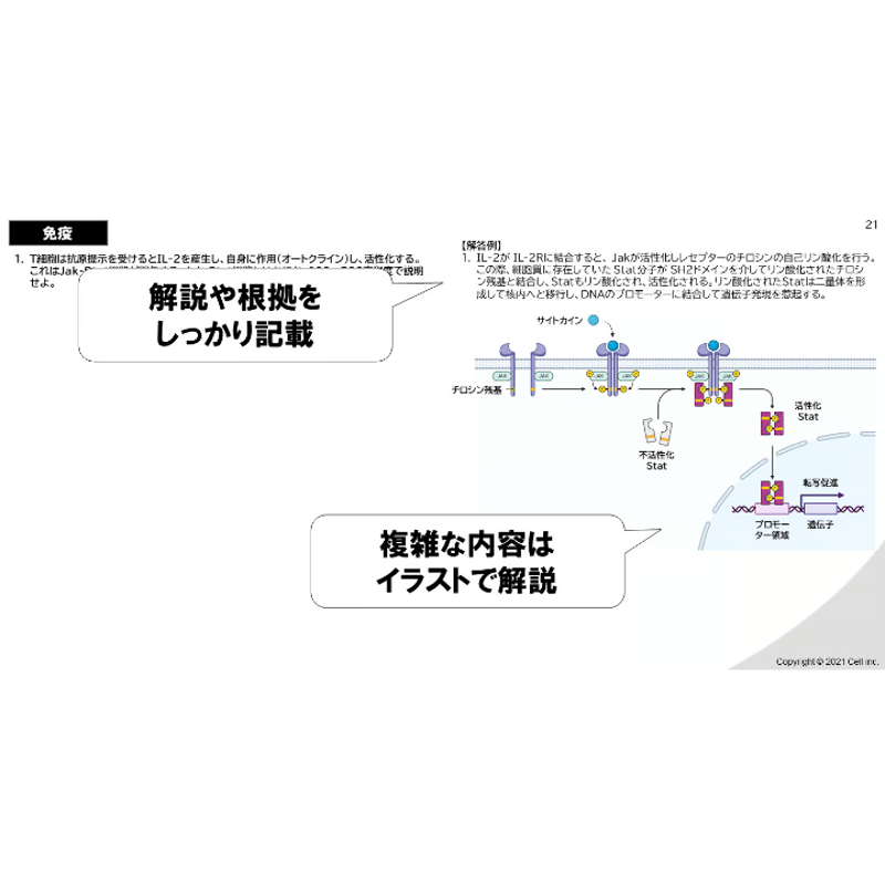 生命科学】 テキスト＋問題集 免疫学 2章 | 医学部学士編入塾Cell