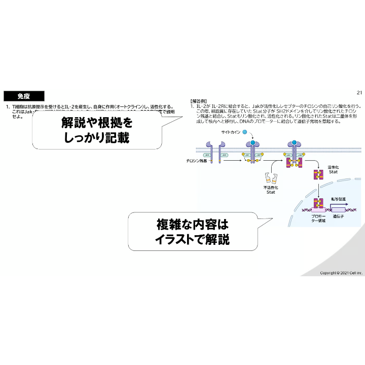 生命科学】 テキスト＋問題集 免疫学 2章 | 医学部学士編入塾Cell