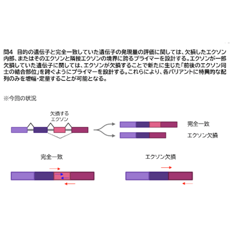 金沢大学】 2026年度入試 解答解説 医学部学士編入 | 医学部学士編入塾Cell