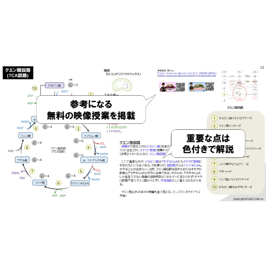 67921b86b46a37031ced0c86