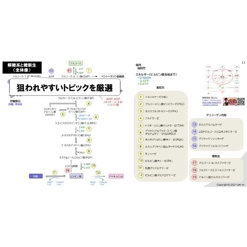 テキスト＋問題集】 生化学 2章 | 医学部学士編入塾Cell