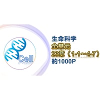 生命科学】 テキスト＋問題集 生化学 2章 | 医学部学士編入塾Cell