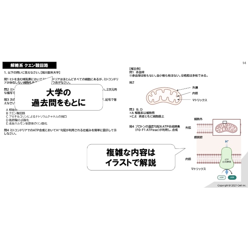生命科学】 テキスト＋問題集 生化学 2章 | 医学部学士編入塾Cell