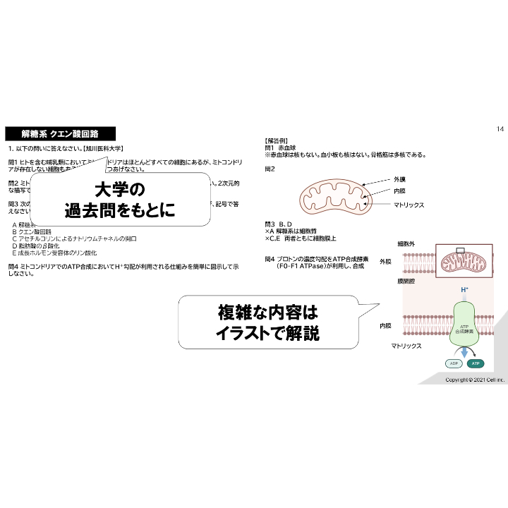 テキスト＋問題集】 生化学 2章 | 医学部学士編入塾Cell