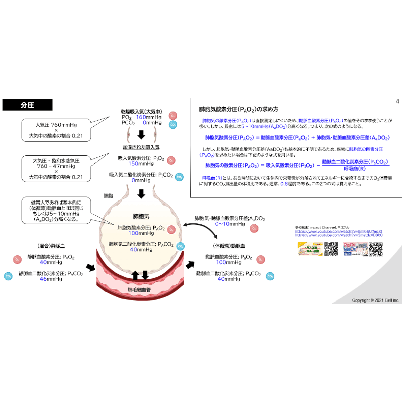 鹿児島大学】 2027年度入試 解答解説 医学部学士編入 | 医学部学士編入